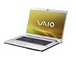 Sony Vaio -FW21L 41,7 cm (16,4 Zoll) WXGA++ Notebook (Intel Pentium T5800 2GHz, 3GB RAM, 250GB HDD, ATI Mobility Radeon HD 3470, Blu-ray/ DVD+- DL RW, Vista Home Premium)