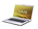Sony Vaio VGN-FW21L 16,4 Zoll WXGA++ Notebook (Intel Pentium Dual-Core T5800 2GHz, 3GB RAM, 250GB HDD, ATI Mobility Radeon HD 3470, BD-ROM/DVD+- DL RW, Vista Home Premium)
