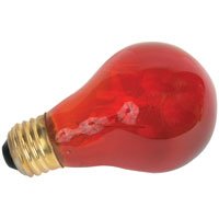 Incandescent Night Red Bulb - 75W by R-ZILLA