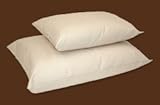 Organic Pillow - Standard