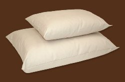 Organic Pillow - Standard