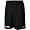 Team Worldwide Knit Workout Shorts