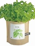 Grow Your Own Basil Herb Garden in a Bag
