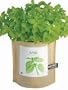 Grow Your Own Basil Herb Garden in a Bag