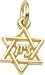 Star Of David Charm by Rembrandt Charms