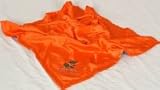 University of Florida Gators New Baby Blanket
