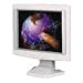 Electronics : Kantek - LCD Protective Filter, For 19"-20" Monitor - LCD19