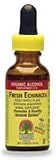 Natures Answer Echinacea Fresh Whole Plant