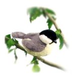 Buy Black Capped Chickadee Plush w  Sound Audubon Bird by WILD REPUBLIC
