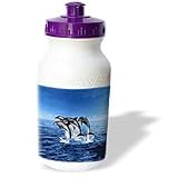 Dolphins - Dolphins - Water Bottles