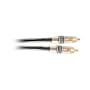 Acoustic Research PR170 Digital RCA Cable (3 feet)
