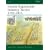 French Napoleonic Infantry Tactics 1792-1815 (Elite)