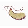 Camping Large Goat Skin Wine Bota