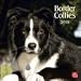 Border Collies 2010 Wall Calendar