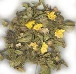 Sinicuichi - SALE! 50 grams 30x Powder