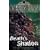 Death's Shadow (The Demonata)