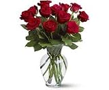 One Dozen Red Roses