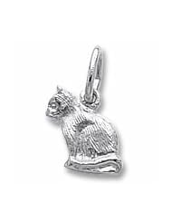Cat Charm
