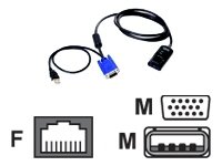 IBM Virtual Media Conversion Option Video-/USB-Adapter (USB Typ A, 4-polig, HD-15, RJ-45)  Preisvergleich