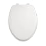 American Standard 5324.019.211 Rise and Shine Elongated Toilet Seat with Cover, Rain Forest