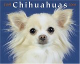 Just Chihuahuas 2008 Calendar (Just)