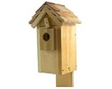Western Bluebird Shake Shingle Bird House
