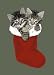 Kittens in Stocking Boxed Holiday Cards - 5" X 7" - Box Of 12 Cards