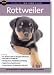 Rottweiler - Owner