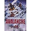 Nature Unleashed: Avalanche