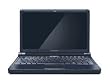 Lenovo Ideapad S10 10.2-Inch Netbook (1.6 GHz Intel Atom N270 Processor, 1 GB RAM, 160 GB Hard Drive, XP Home) Black