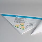 August Thomsen 454 Large Parchment Triangles - Box Of 500 by 