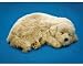 Perfect Petzzz Golden Retriever