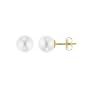 AugustinaJewelry AAA Quality Round 6-6.5mm Akoya SaltWater cultured White Pearl Earrings with 14K Yellow Gold Mount