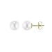 AAA Quality Round 6-6.5mm Akoya SaltWater cultured White Pearl Earrings with 14K Yellow Gold Mount