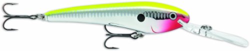 Rapala X-Rap Jerkbait 06 Fishing Lure, Yellow Perch