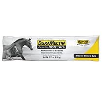 Duramectin Ivermectin Paste 1.87% For Horses, 0.21 oz
