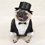 Casual Canine Tux W/Tails & Top Hat X-Small 8 In .