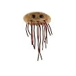 Giant Microbes E. Coli (Escherichia Coli)