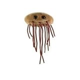 Giant Microbes E. Coli (Escherichia Coli)