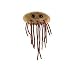 Giant Microbes E. Coli (Escherichia Coli)