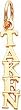 14K Gold Taken Charm