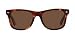 Classic Tortoise  Brown Wayfarer