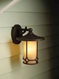 11-Inch Outdoor Wall Light