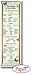 BOOKS OF THE BIBLE