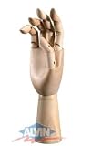 Wooden Hand Manikin- Adult Right Hand