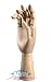 Wooden Hand Manikin- Adult Left Hand