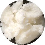 精製シアバター 30g