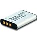 Nikon EN-EL11 Replacement Battery for Nikon, Olympus, Pentax, Ricoh, and Sanyo Digital Cameras