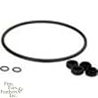 ML O RING GASKET KIT C 160-220