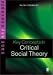 Key Concepts in Critical Social Theory (SAGE Key Concepts series)
